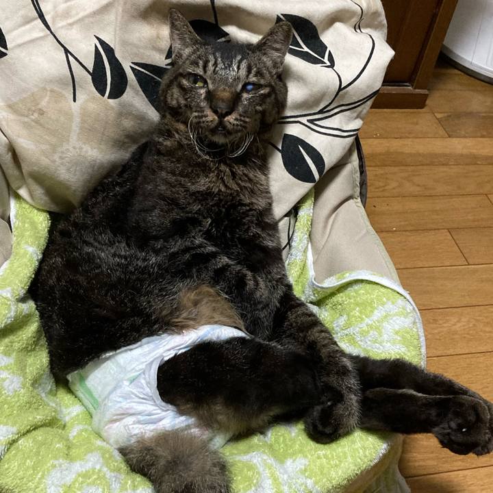 7fe29af7 d0ac 4d85 82bb 498b6966dd23 1657798553730