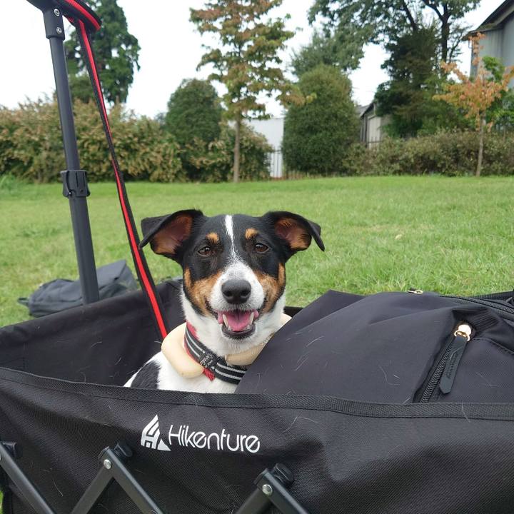 7fe2a503 f55b 48d3 9c89 658fc54e4d9f 1758609320700