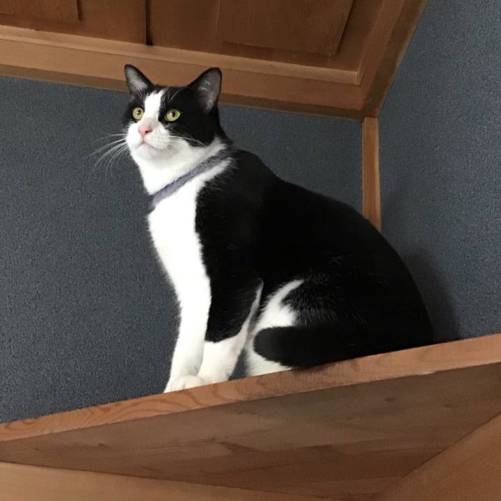 7fe2be16 f9cd 4ead a0df fc218167c199 1670057384259