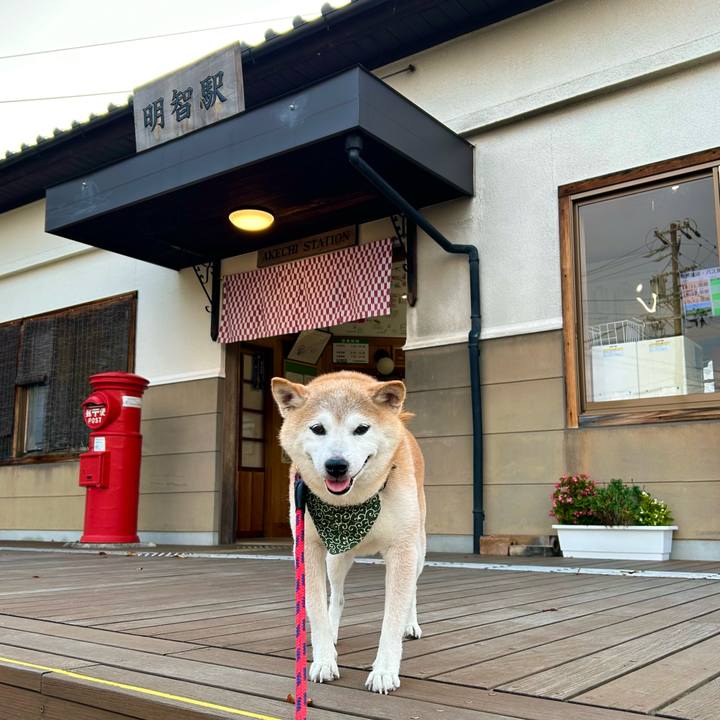 7fe2d55d c267 4412 bccd 4172ac3b16a8 1756205624516