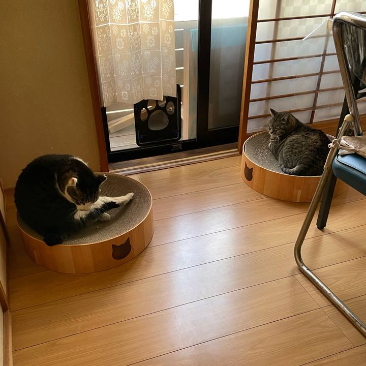 7fe2db00 07cc 4e12 9ac5 4b2d907c913b 1651538699508