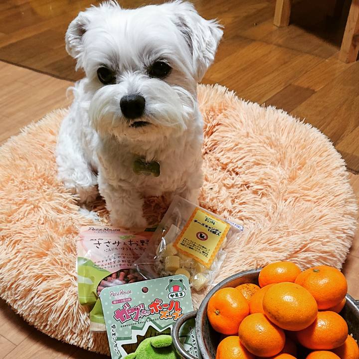 7fe2de3c 4d55 49fc b14a 1205989cbee3 1609328862678