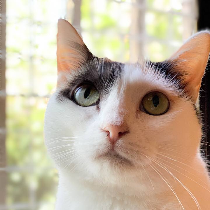 7fe30bfc f5df 4930 907c ee487599028b 1601948913595