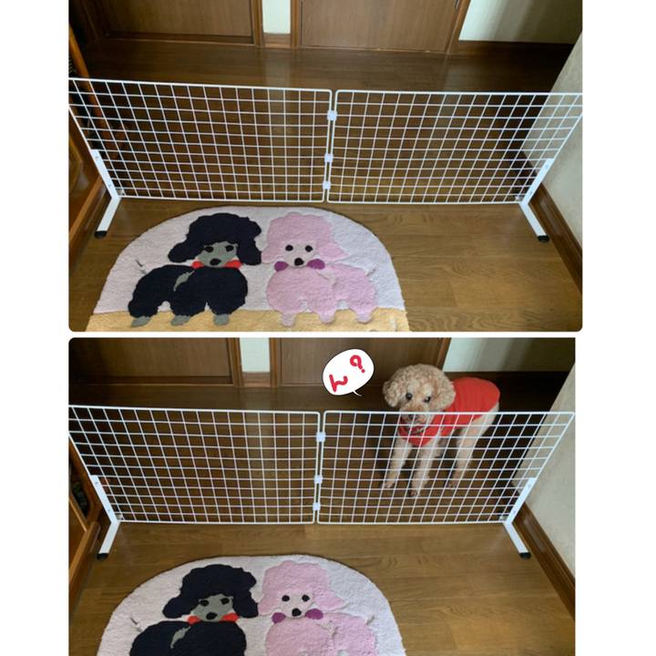 7fe32eed e16c 471d b168 10edd2ce3b4d 1615086507760