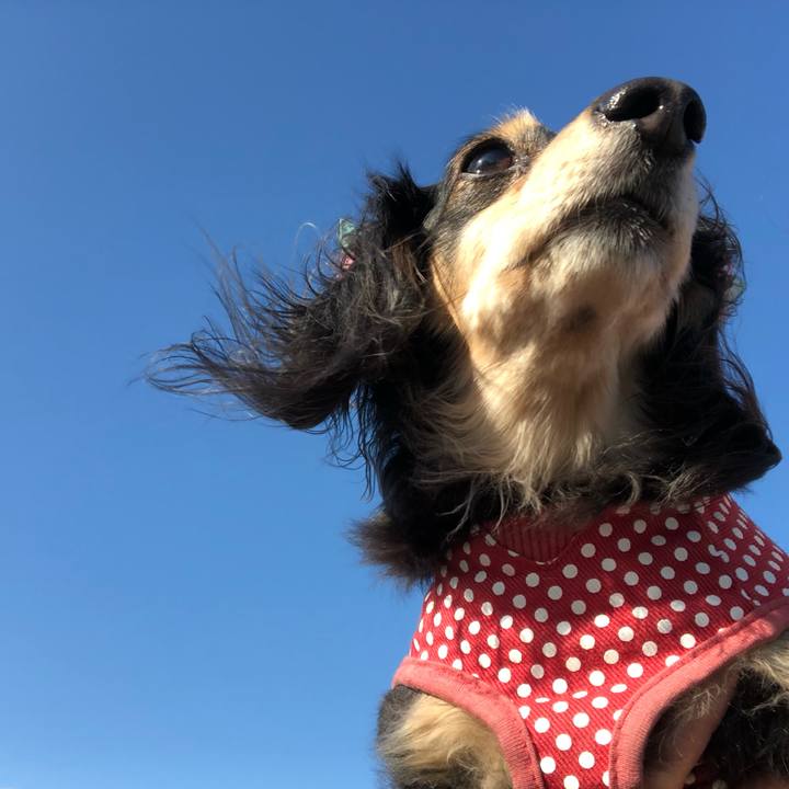 7fe34dc6 0926 4d00 942d 23fad8ca204c 1548980667794