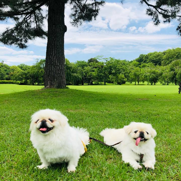 7fe36f12 968a 464b bcab 3cd2e018c15b 1621942993552