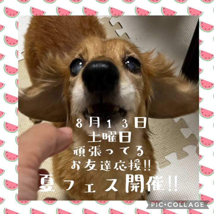 7fe3dd4e 73b0 4fc9 8df4 5254685cae58 1660140010831