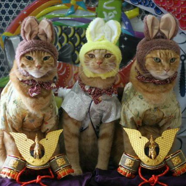 7fe43fd6 989f 44e0 9335 c4f06a5a787e 1557016075661