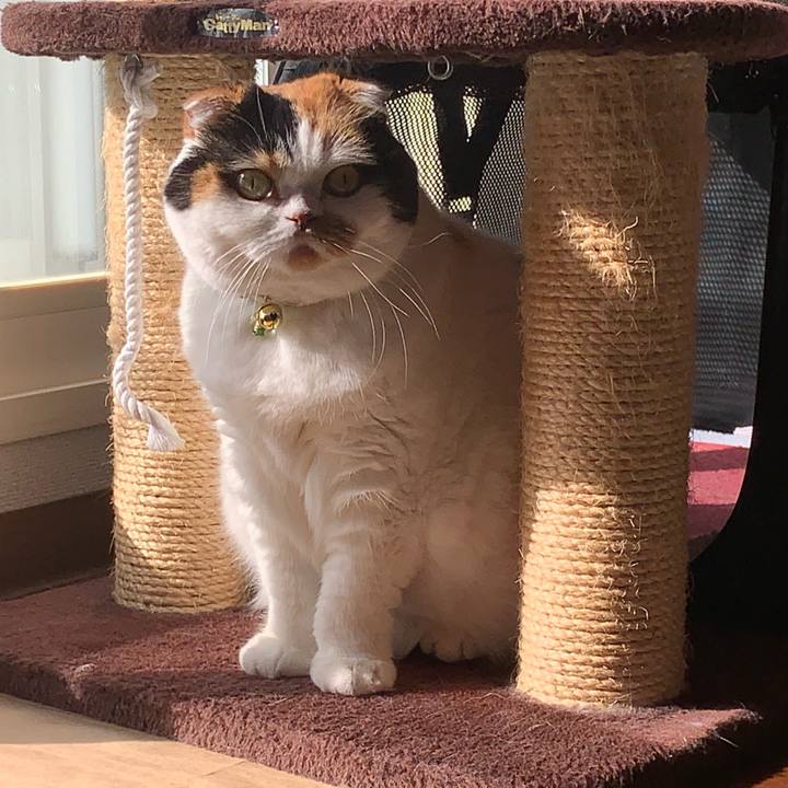 7fe4470a 26a4 4378 826e 456b602994de 1562802988657