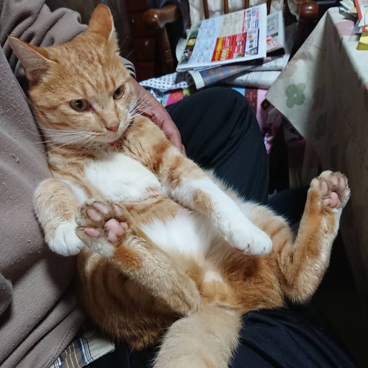 7fe47170 1890 4282 b018 514068b557ca 1573857584283