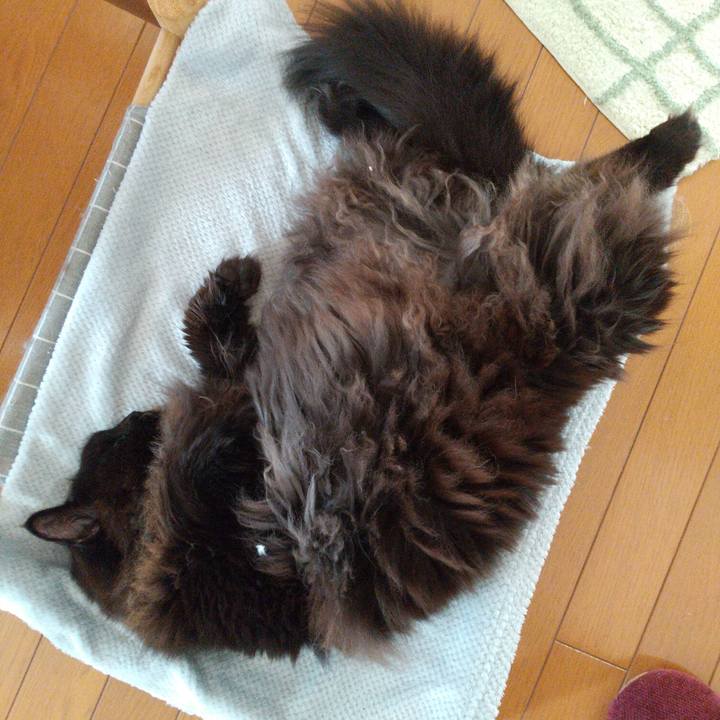 7fe49988 8a3e 4d37 9512 d782bcf79bf3 1702855044162