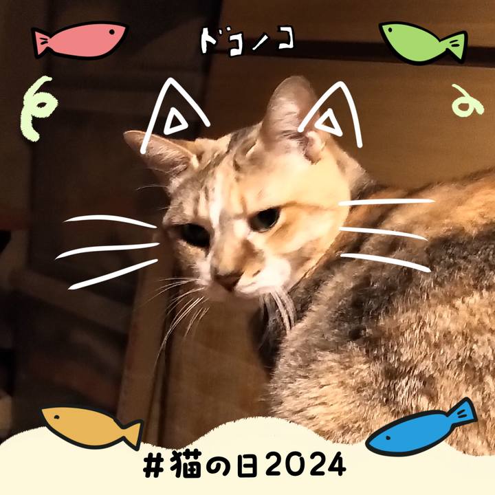7fe4a1d8 a058 46ad aa49 2f1a63cadf13 1708535483644
