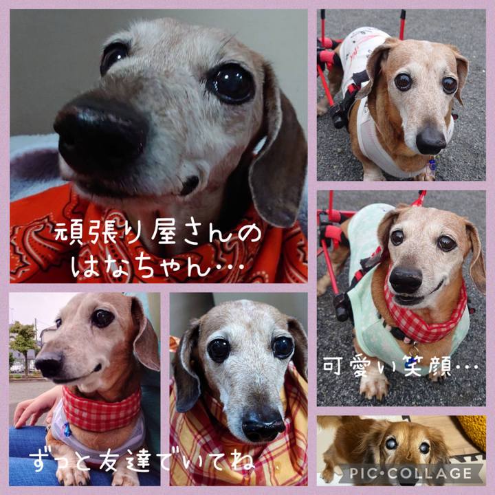 7fe4c10f 1a66 44e4 ba03 0202cd6d08d2 1671013000808