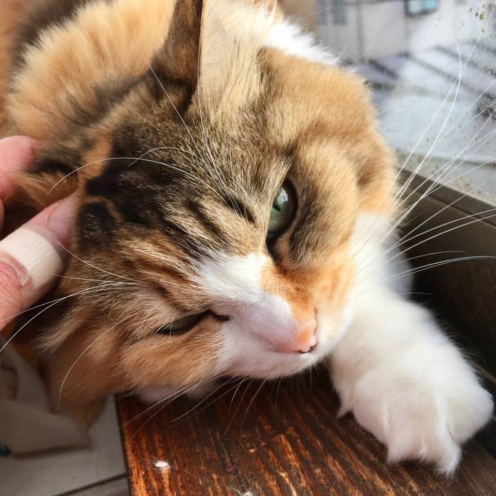 7fe524a7 302f 407a 9d38 95f77c4f32c4 1578294329149