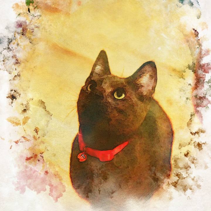 7fe537ab 9223 4a2c aad2 3d5e71f21eb0 1510285872848