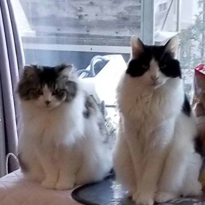 7fe53c51 44dc 4885 8601 6c44ba217d9b 1584564822249