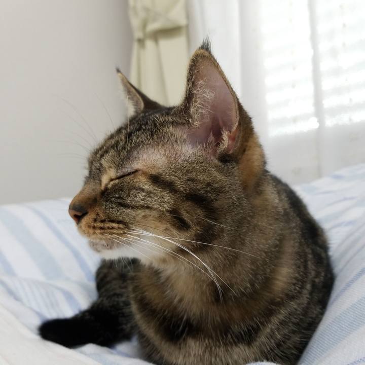 7fe53d05 f46d 4f95 87e1 ae4115fe4fd9 1568928649763