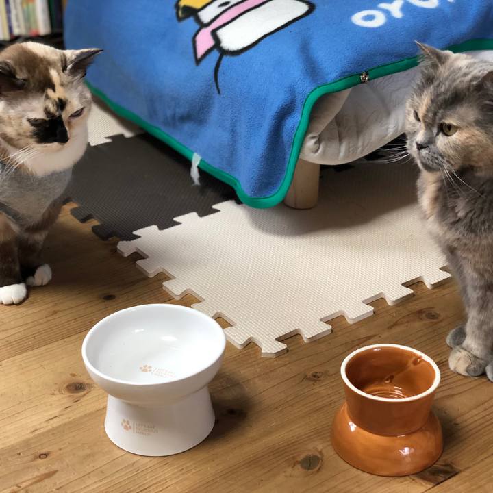 7fe581bf 71c1 4eba a650 dbe501efd676 1665398442347