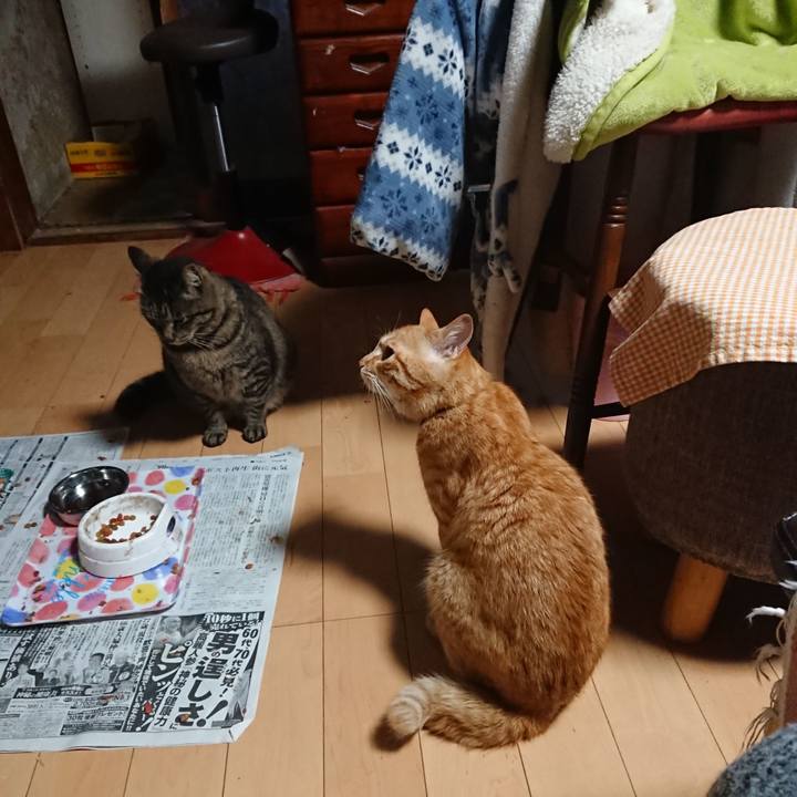 7fe59e6d af93 46ef 84a4 09d9ca68e588 1651023658511