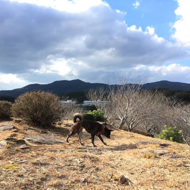 7fe5a58e b548 4479 a08b 55ac9c7a7197 1514278315282