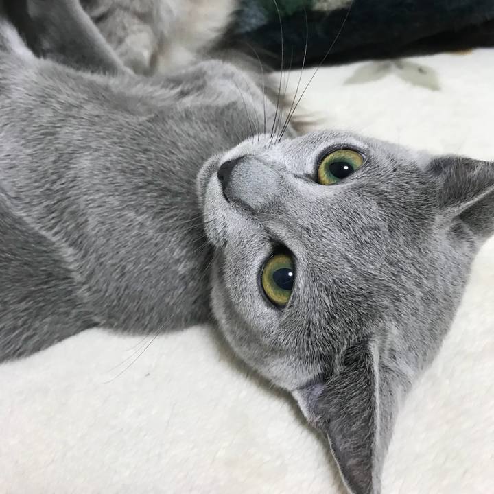 7fe5e2a6 502b 4b1a 8663 8079da24234d 1511135100346