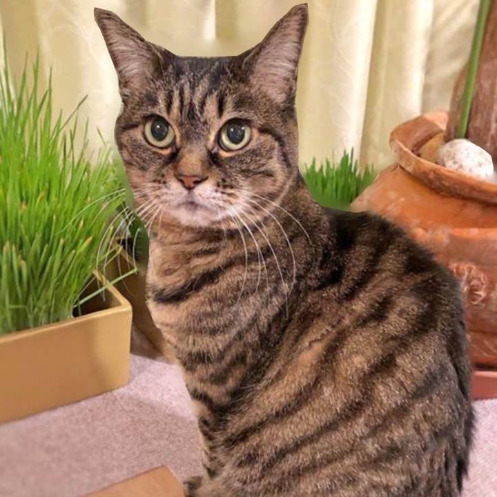 7fe5f615 c2c6 42e7 8801 9f11a16473fc 1768623652309