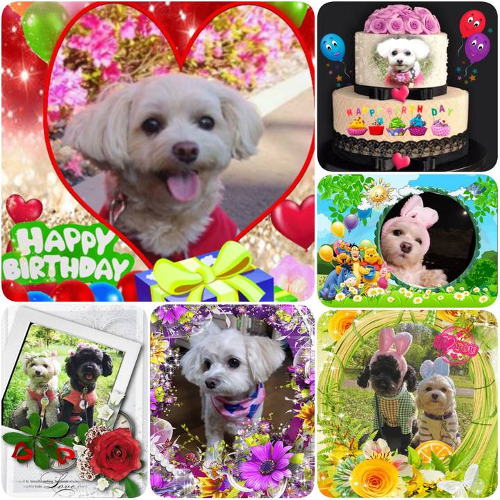 7fe60641 ea0a 4ef5 ba3c 68eb7bcea866 1592092829606