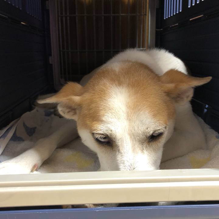 7fe646a1 a0ea 414d a697 14d23b89bcd0 1599215384118