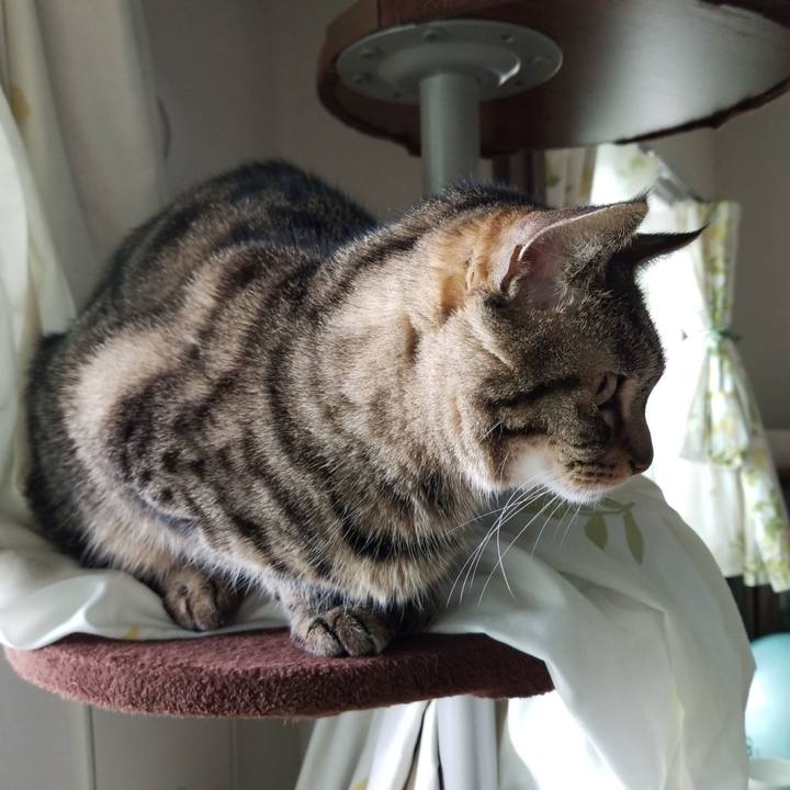 7fe6559d 5d83 4ff9 bbbd 6b04f93ed046 1589072079578