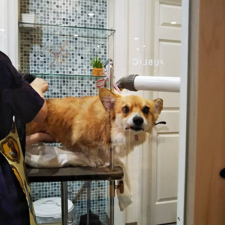 7fe69e02 01a1 4a14 ac12 30452ff9aa27 1564815343806