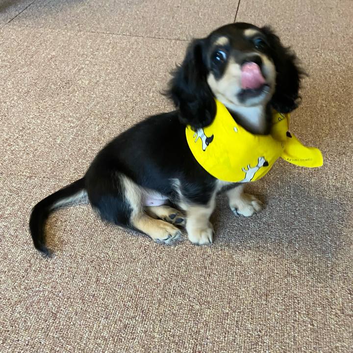 7fe6a529 0efd 46d9 900d fdaf6b82a16c 1665294976576