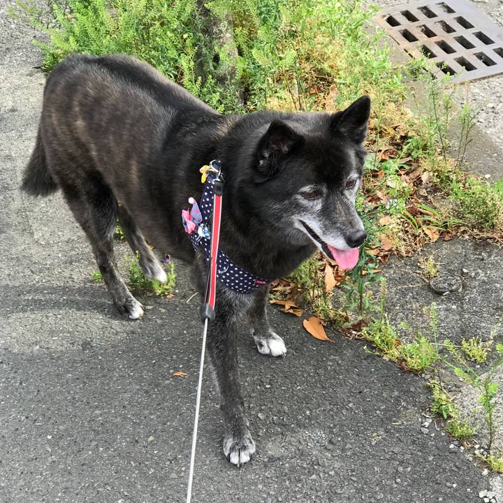 7fe6a53c 606b 4733 a143 c6663d1e4bd7 1528451550370