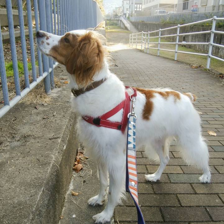 7fe6da49 7630 4991 a3a3 4a949ddcaf0b 1539388552849