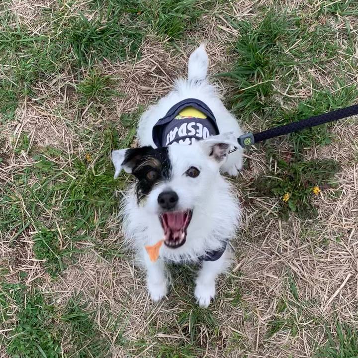 7fe723c3 c378 417e b5a8 920c708d95ee 1680248291921