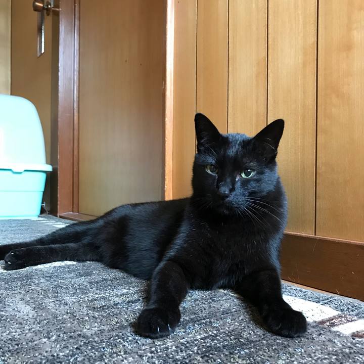 7fe72be3 af5a 477b a242 3ec22fa12579 1524620497740