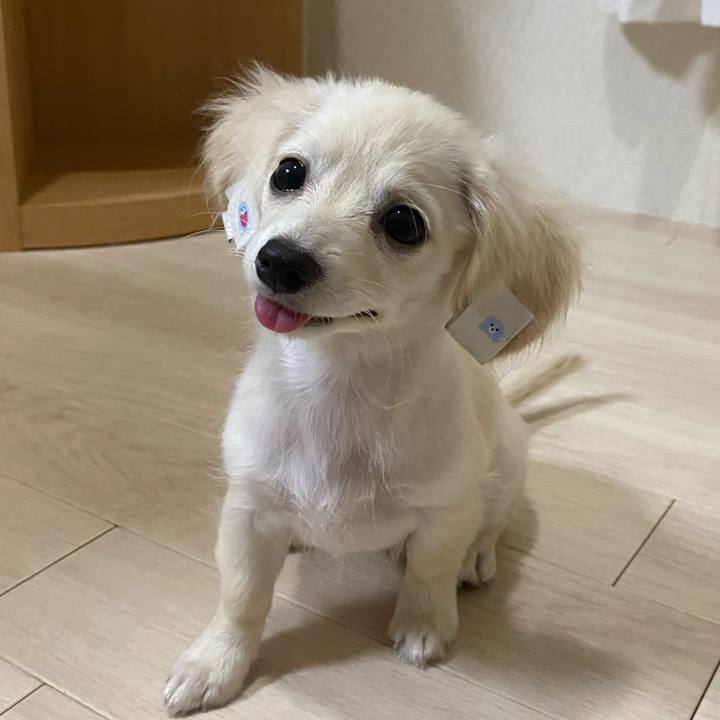 7fe72f4e fd05 462d 9d9e 2f3947de4f04 1627991042976