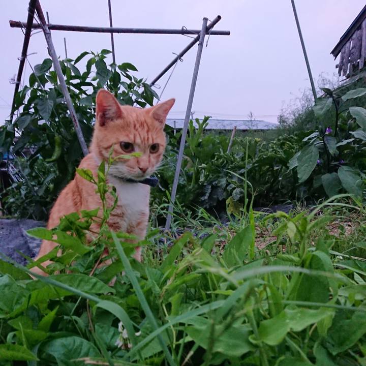 7fe7313c ba1b 4f5c b34a 22e1d5d6310e 1564481376503