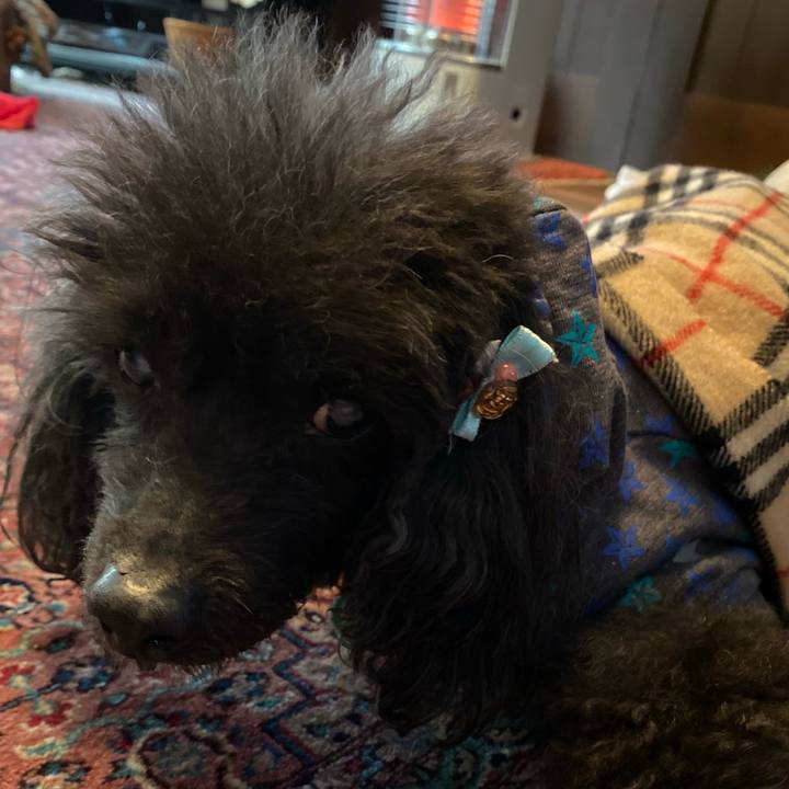 7fe75043 857b 4858 be06 76f16f7245c0 1607385233068