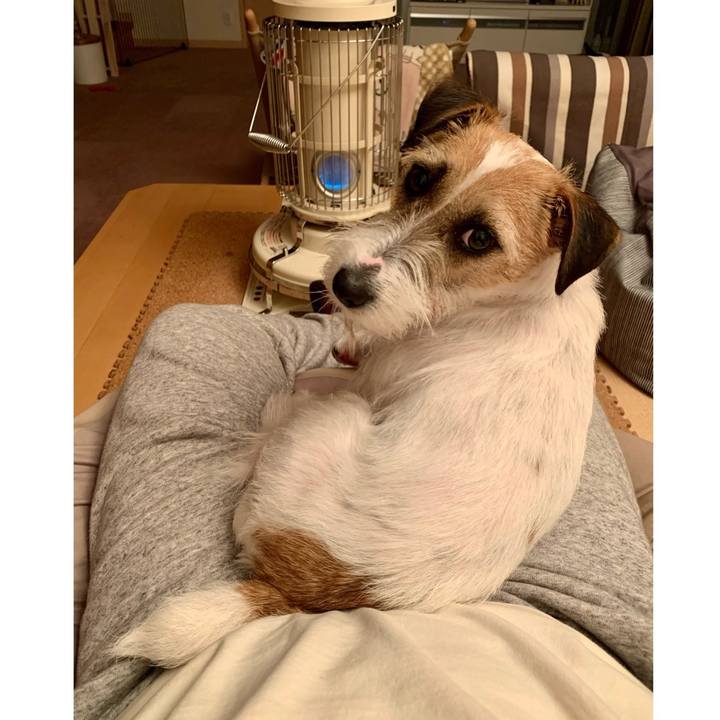 7fe76587 28c5 4da3 a79c 05b0b8dce671 1614677630045