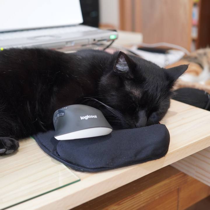 7fe7818b 25a5 4874 94bf 6833909381ff 1591834271544