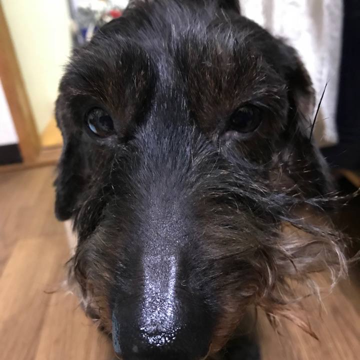 7fe7bf68 93e4 4d92 895d 95c58d1afe10 1511874448032