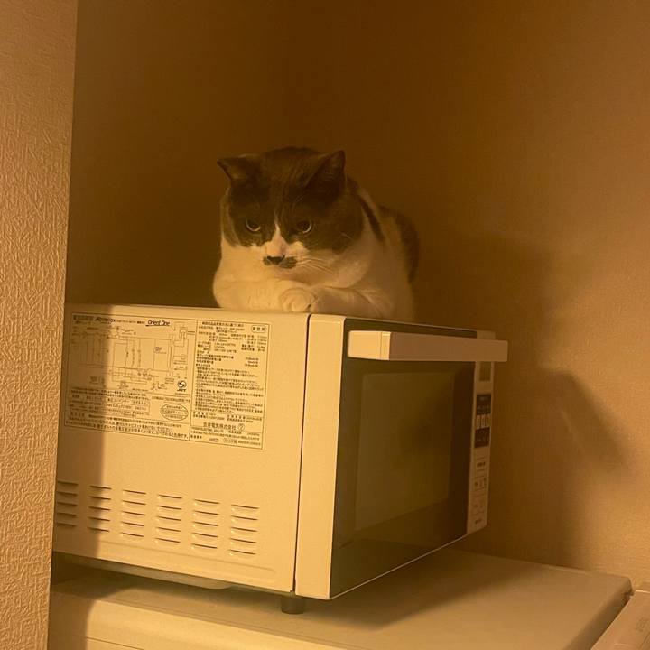 7fe7c546 b78e 46ec acbb 28f51e50b8ba 1724927318051