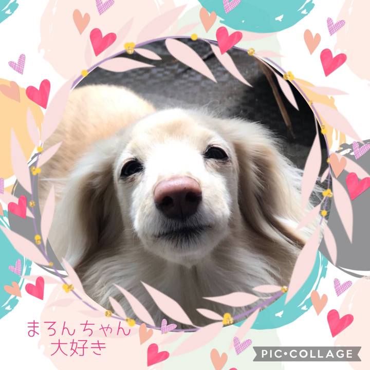 7fe7e859 40d2 4386 ad15 7a28c04c6020 1653136272504