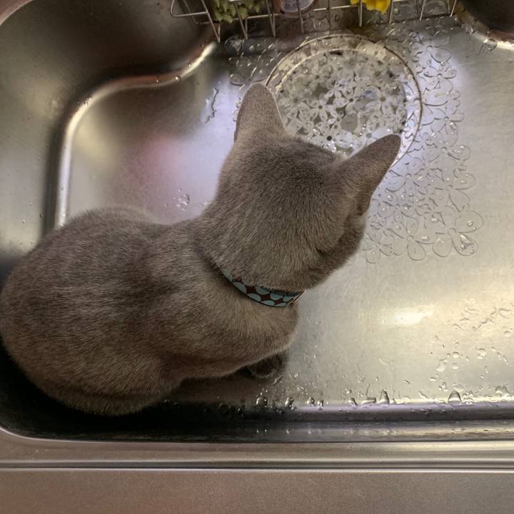 7fe80041 88ce 4de2 8cee 5144d3595760 1576192641624