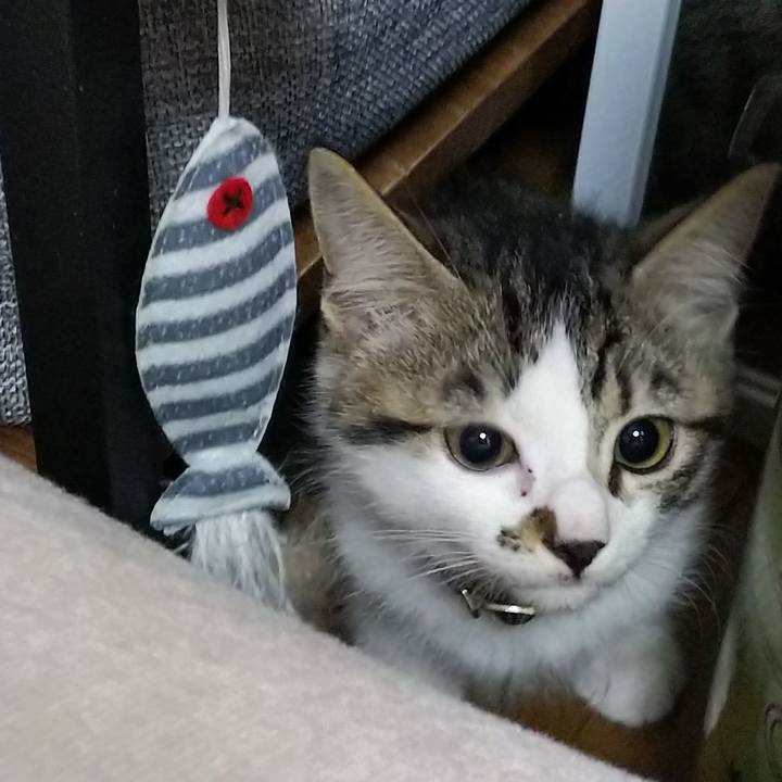 7fe894e1 93ba 4ca5 a365 32c00bb31948 1608384439101