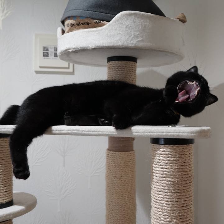 7fe89f90 44e6 4e0a 858b 677a43a02710 1561989289202