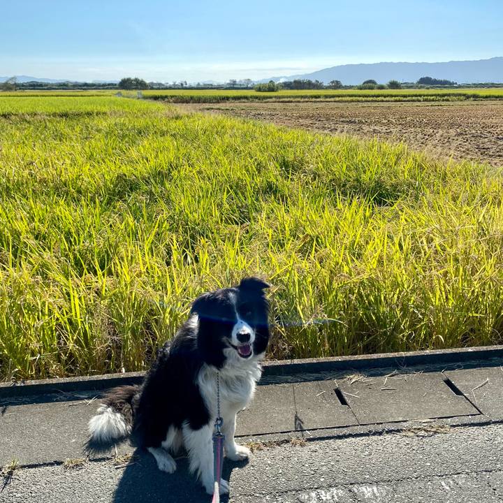 7fe8b92f d608 4064 b565 7227c7a81a10 1632960572203