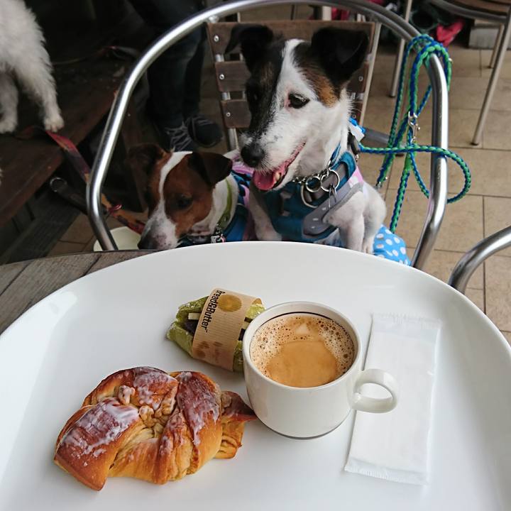 7fe8c048 b01c 44ec 8dd6 c294b6ac035e 1593493049396