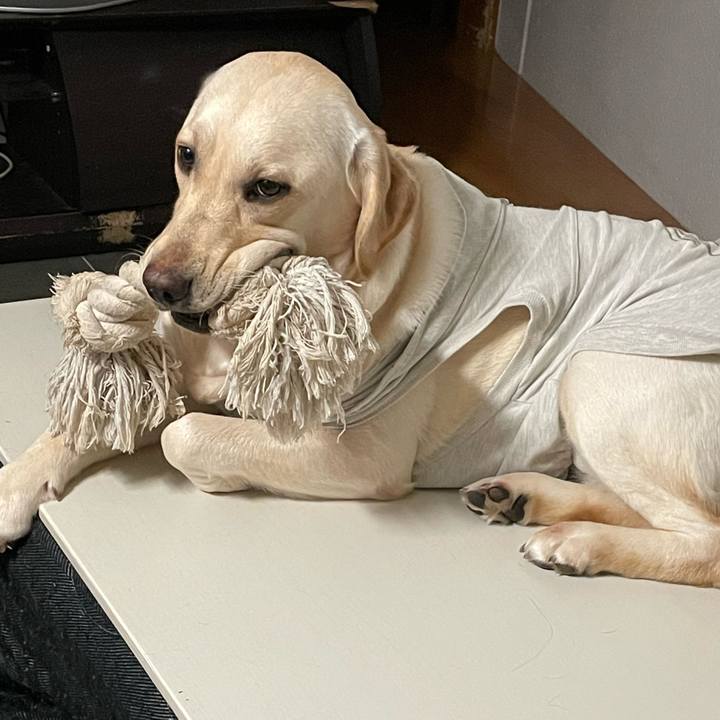 7fe8c80c 1da0 466e 95c7 09b49e34c3fa 1646109649097