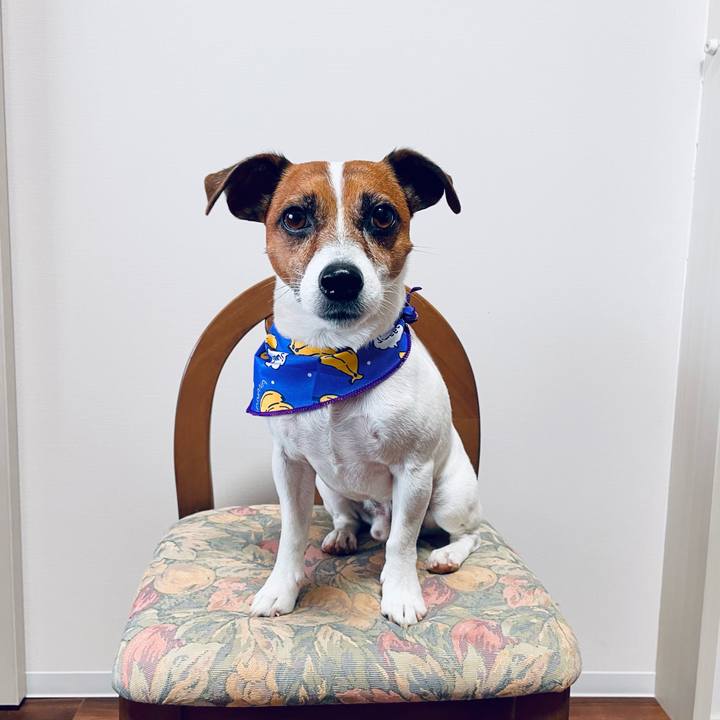 7fe924a1 254d 4b80 a29f af55f1fdd2be 1719213441234